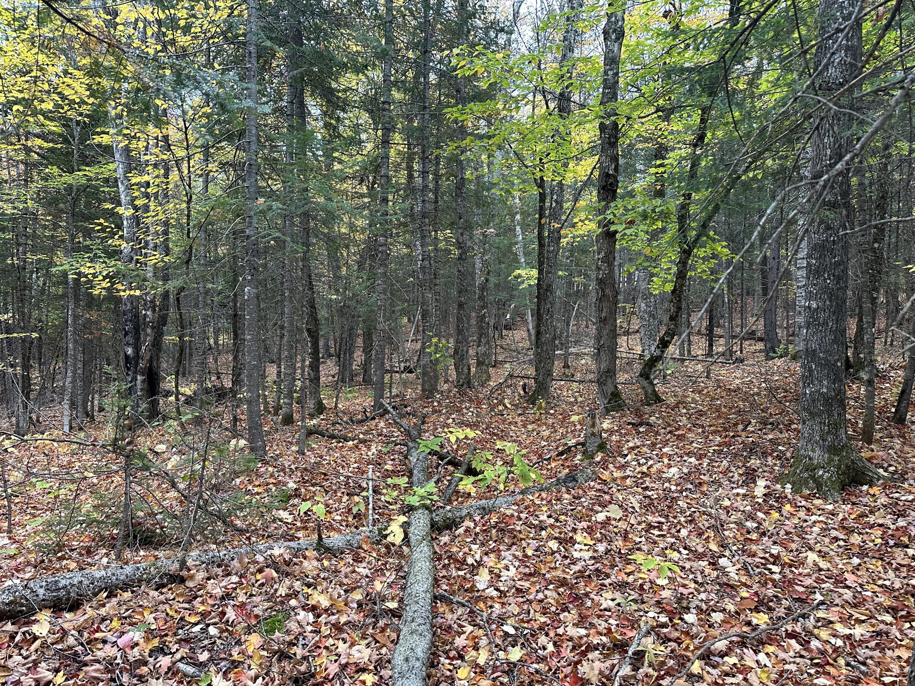Lot 6a Ridge Road Property Photo 6