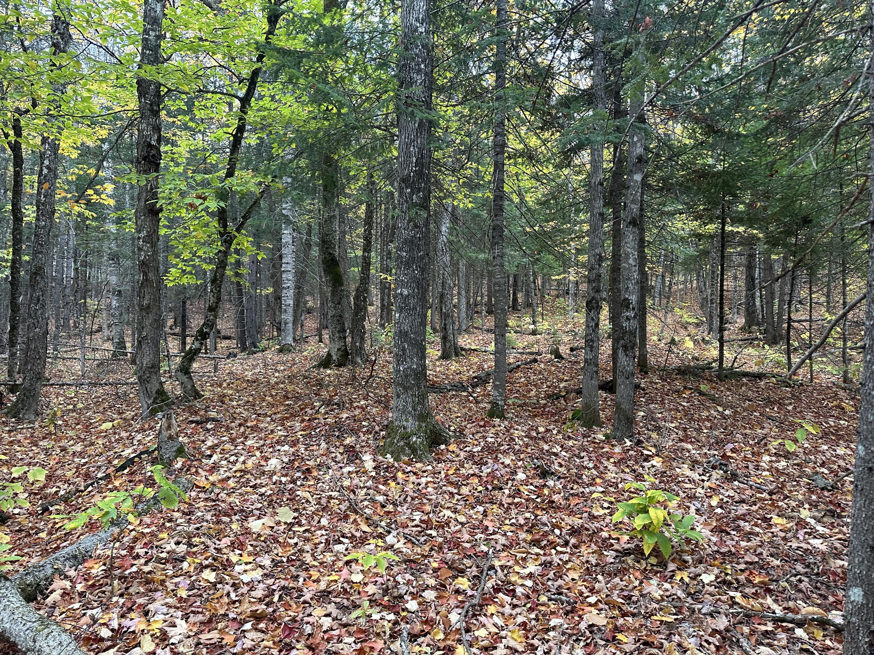 Lot 6a Ridge Road Property Photo 7