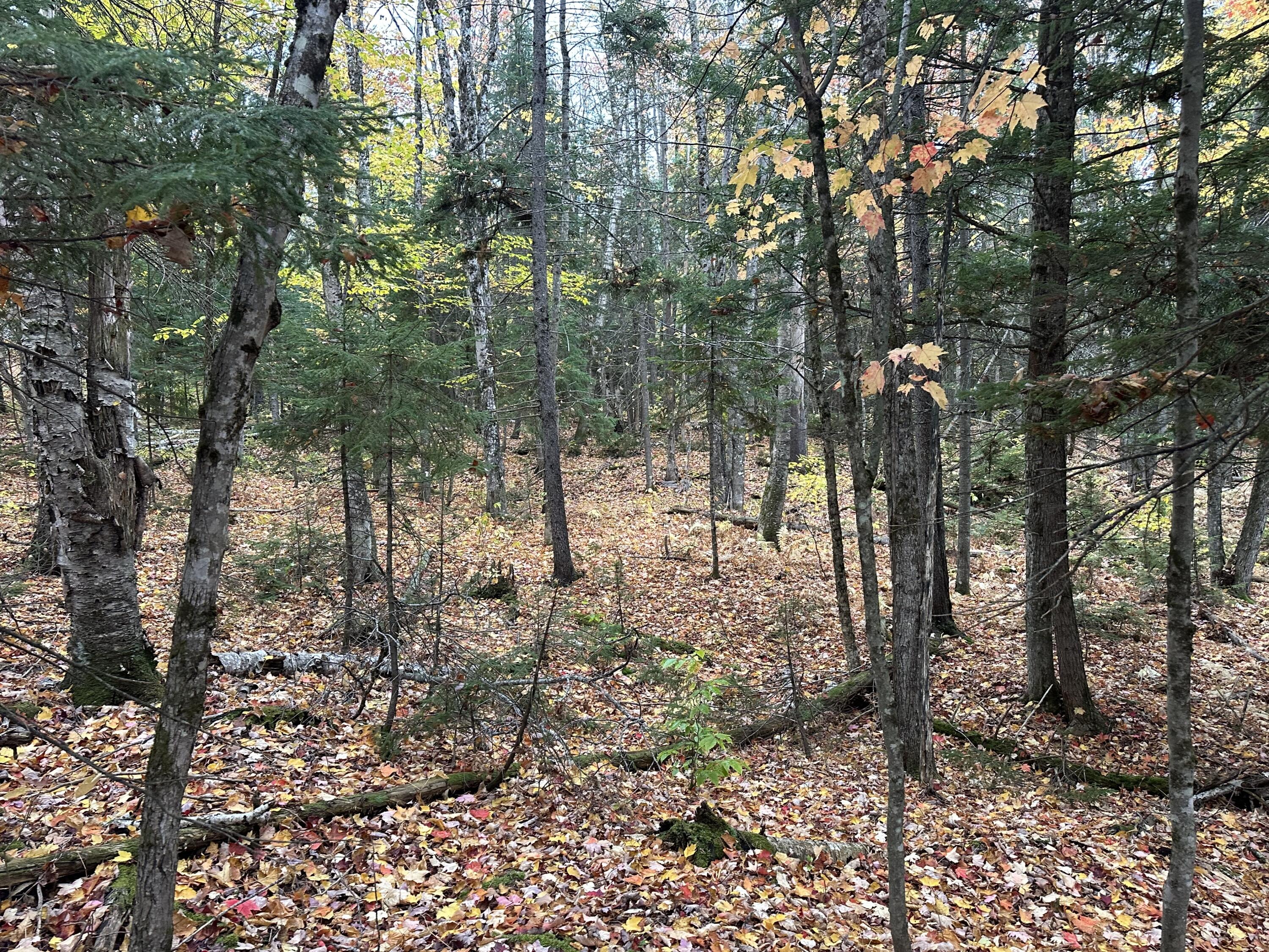 Lot 6a Ridge Road Property Photo 8
