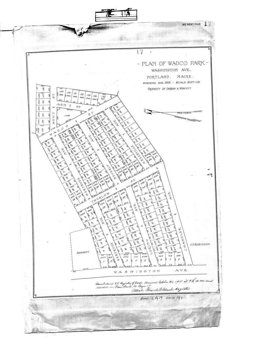 84 Gertrude Avenue Property Photo 3