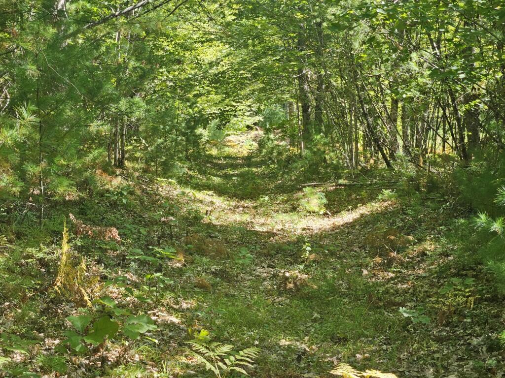 Lot 9 Pequawket Trail Property Photo 1