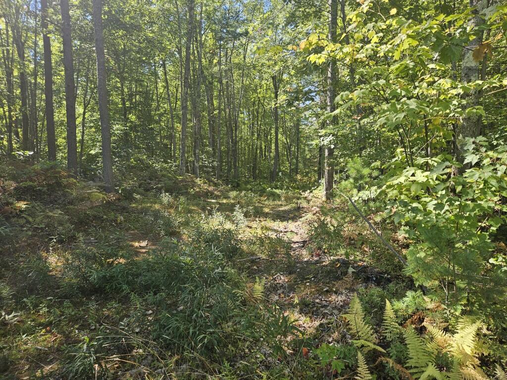 Lot 9 Pequawket Trail Property Photo 2