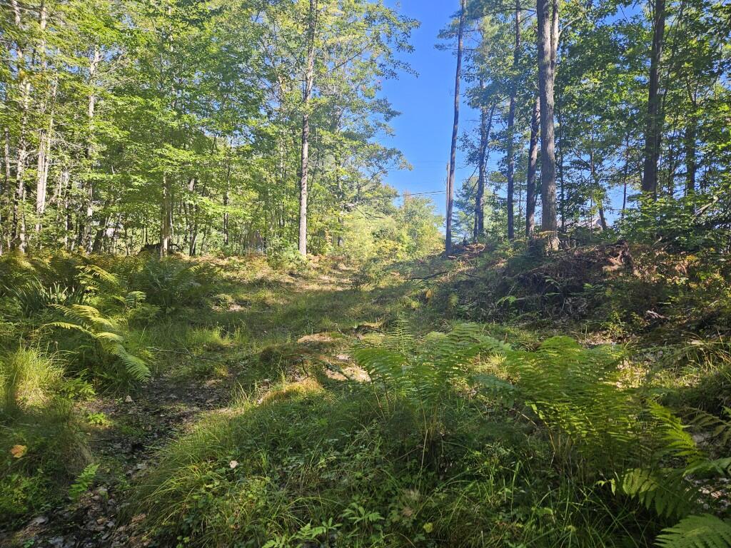Lot 9 Pequawket Trail Property Photo 3