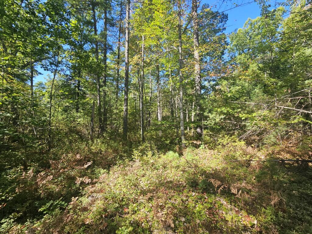 Lot 9 Pequawket Trail Property Photo 4