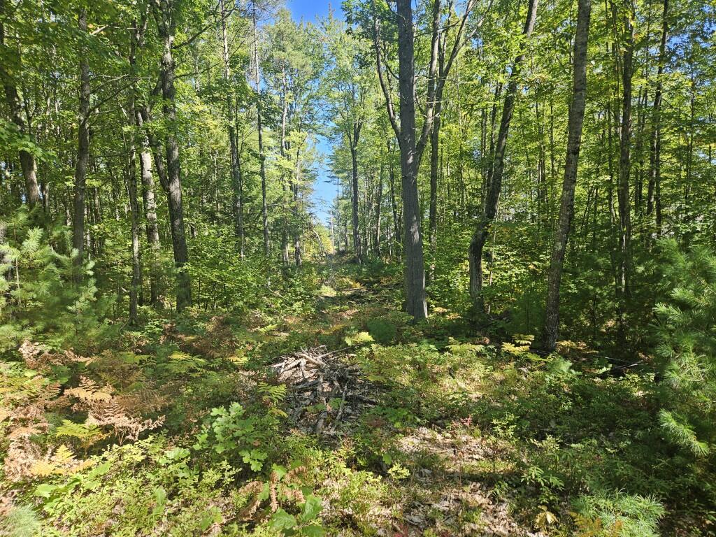 Lot 9 Pequawket Trail Property Photo 5