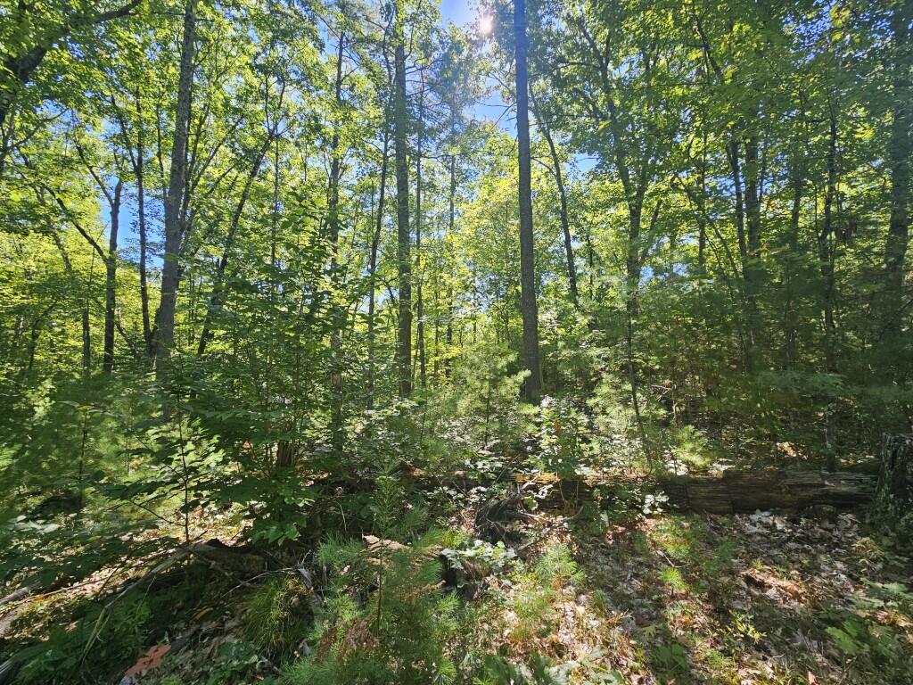 Lot 9 Pequawket Trail Property Photo 6