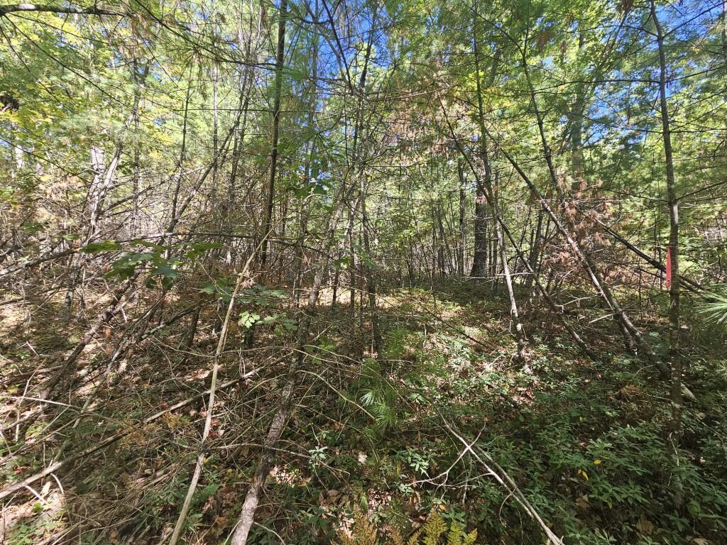 Lot 9 Pequawket Trail Property Photo 7