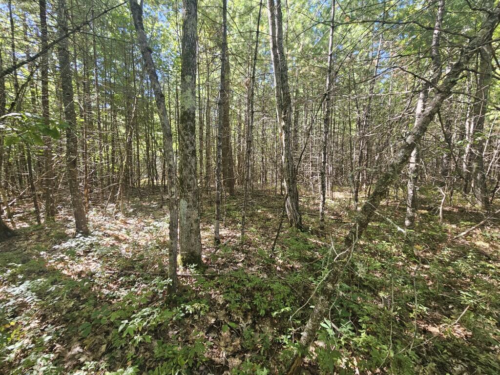 Lot 9 Pequawket Trail Property Photo 8
