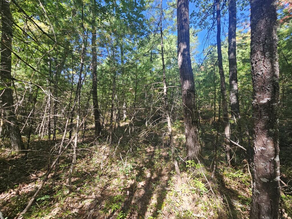 Lot 9 Pequawket Trail Property Photo 9