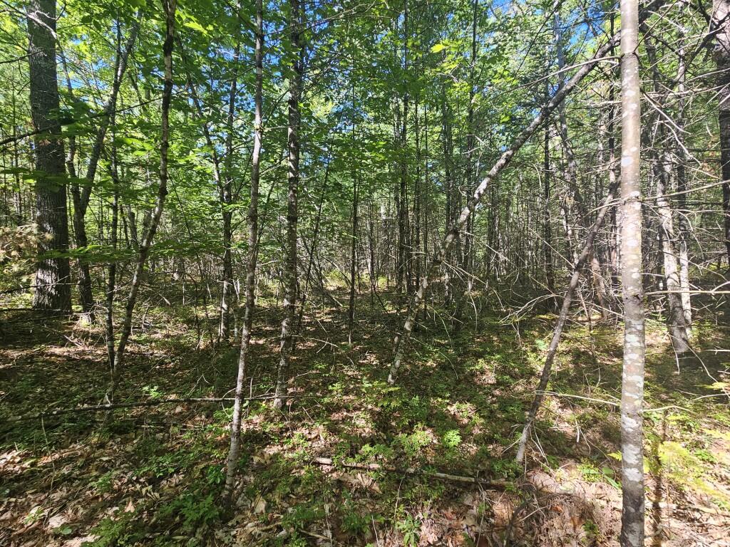 Lot 9 Pequawket Trail Property Photo 10