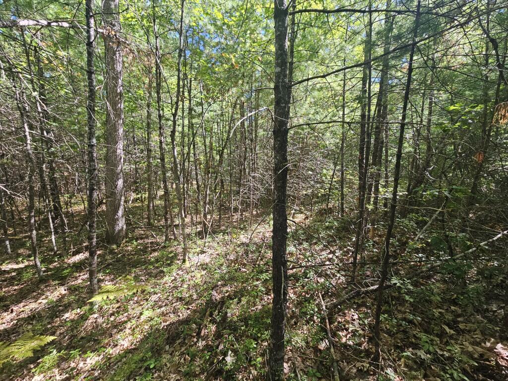 Lot 9 Pequawket Trail Property Photo 11