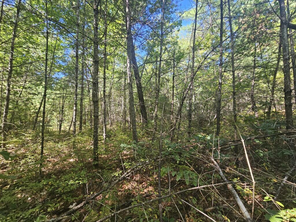 Lot 9 Pequawket Trail Property Photo 14