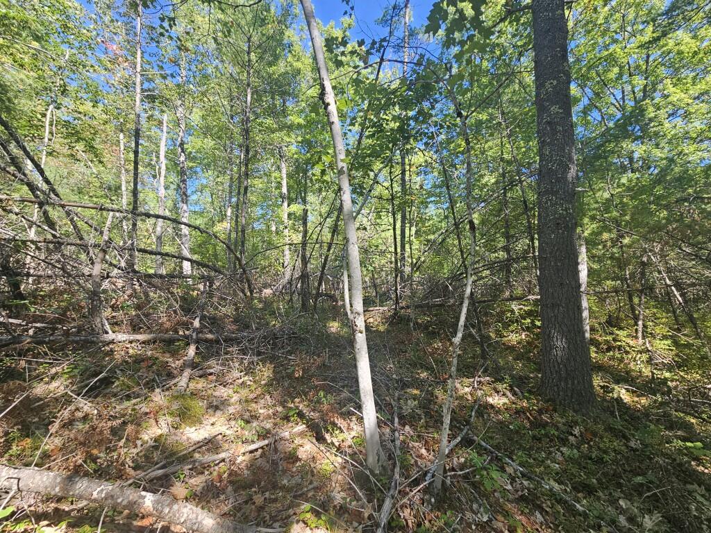 Lot 9 Pequawket Trail Property Photo 16