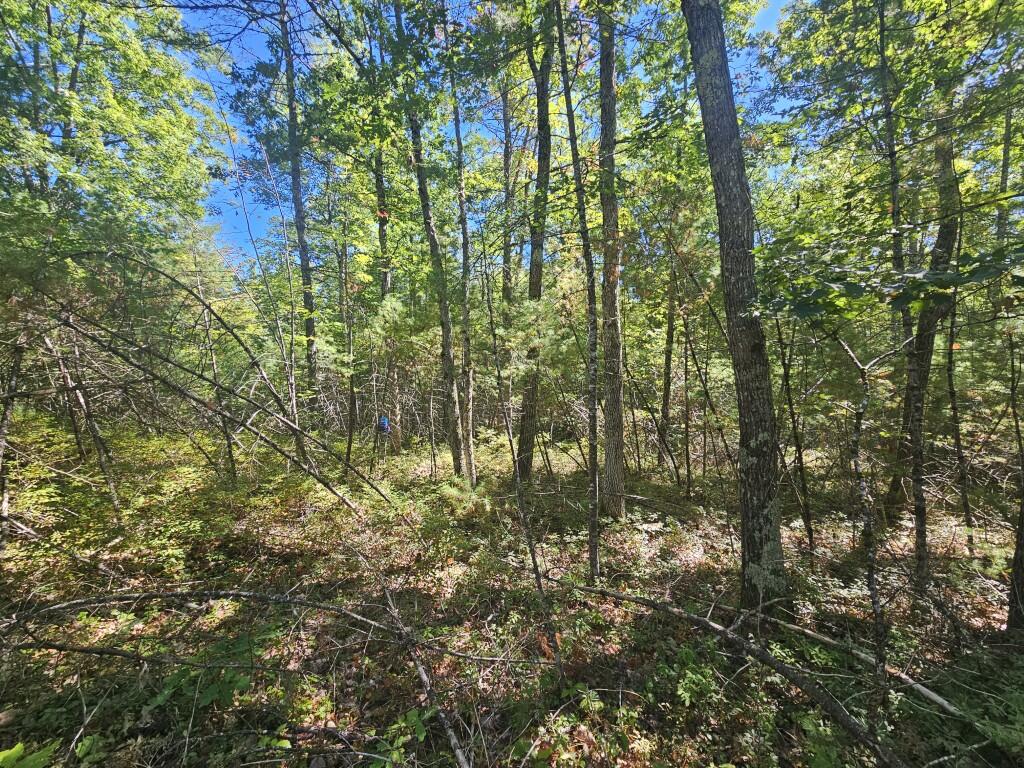 Lot 9 Pequawket Trail Property Photo 17