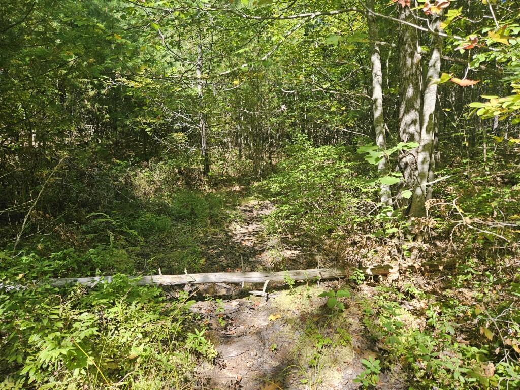 Lot 9 Pequawket Trail Property Photo 18