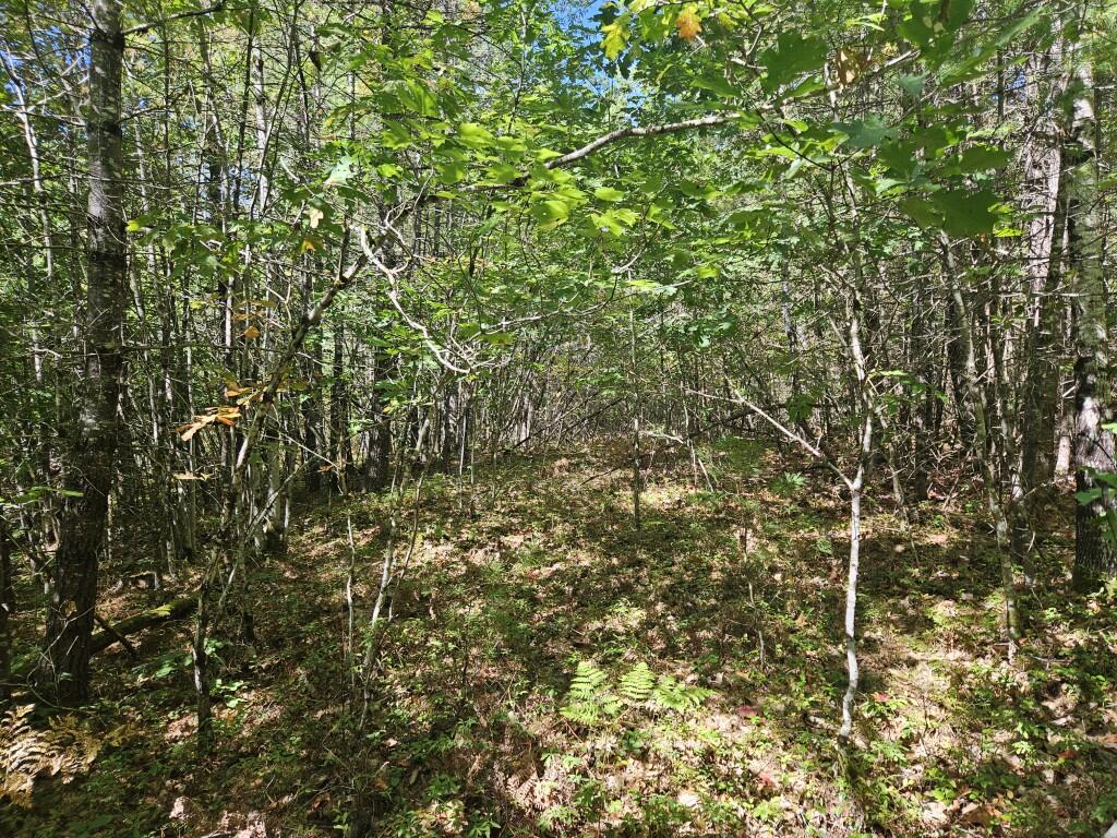 Lot 9 Pequawket Trail Property Photo 19
