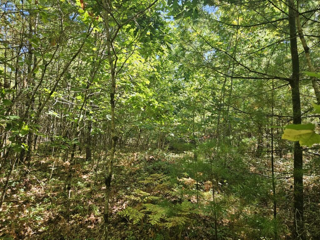 Lot 9 Pequawket Trail Property Photo 20