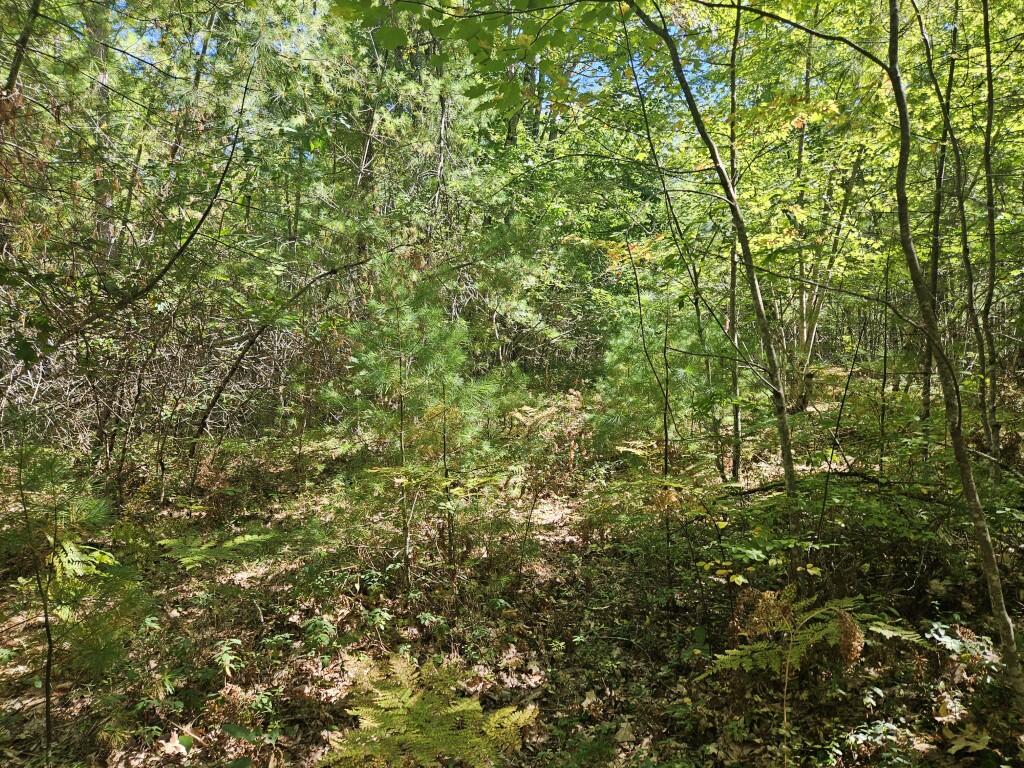 Lot 9 Pequawket Trail Property Photo 21