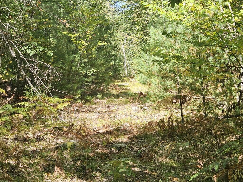 Lot 9 Pequawket Trail Property Photo 23