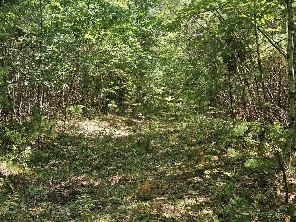 Lot 9 Pequawket Trail Property Photo 24
