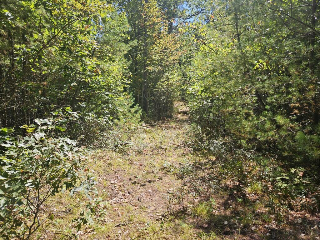 Lot 9 Pequawket Trail Property Photo 26