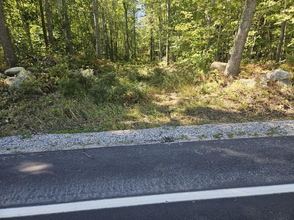 Lot 9 Pequawket Trail Property Photo 28