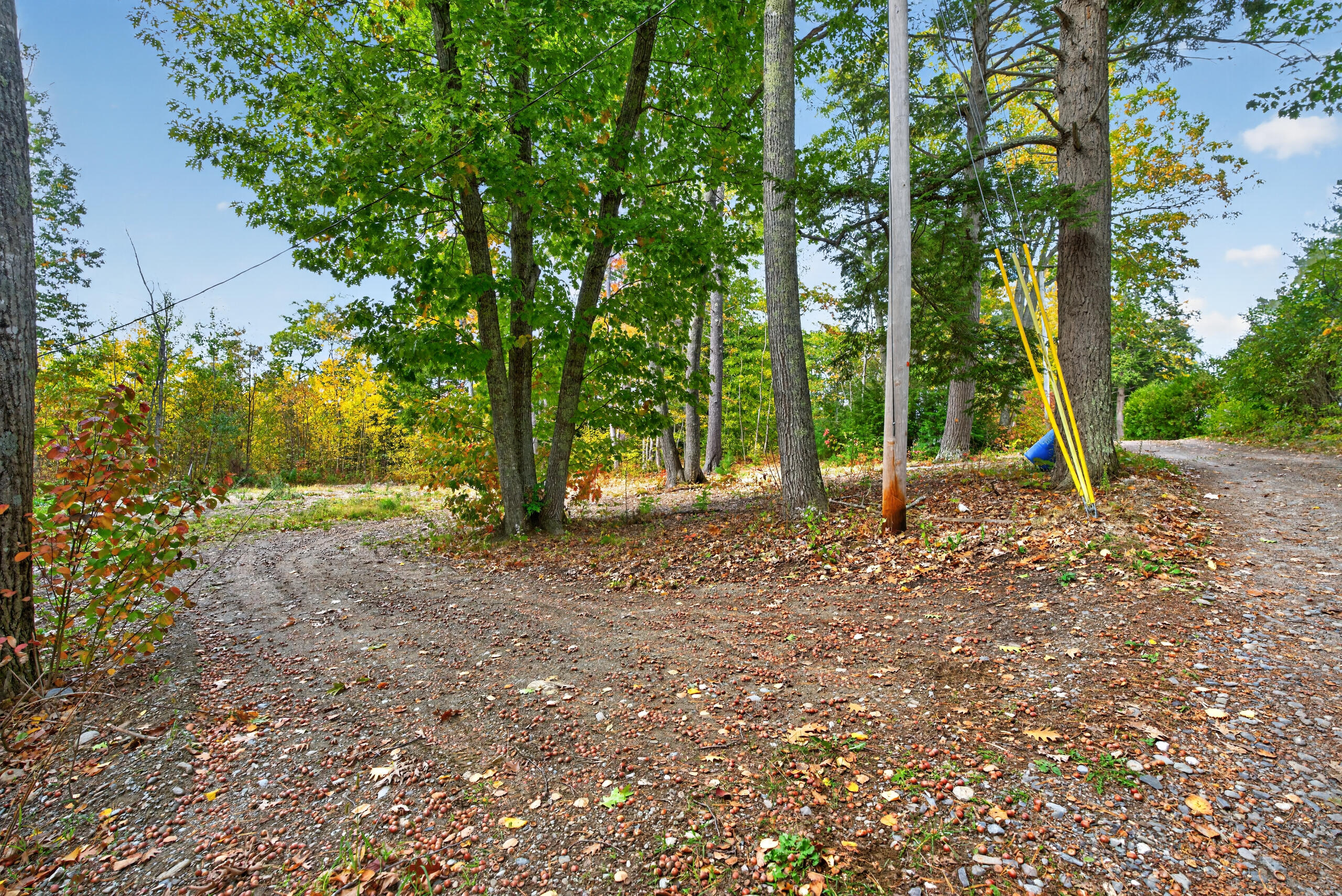 136 Fowlers Landing Road Property Photo 13