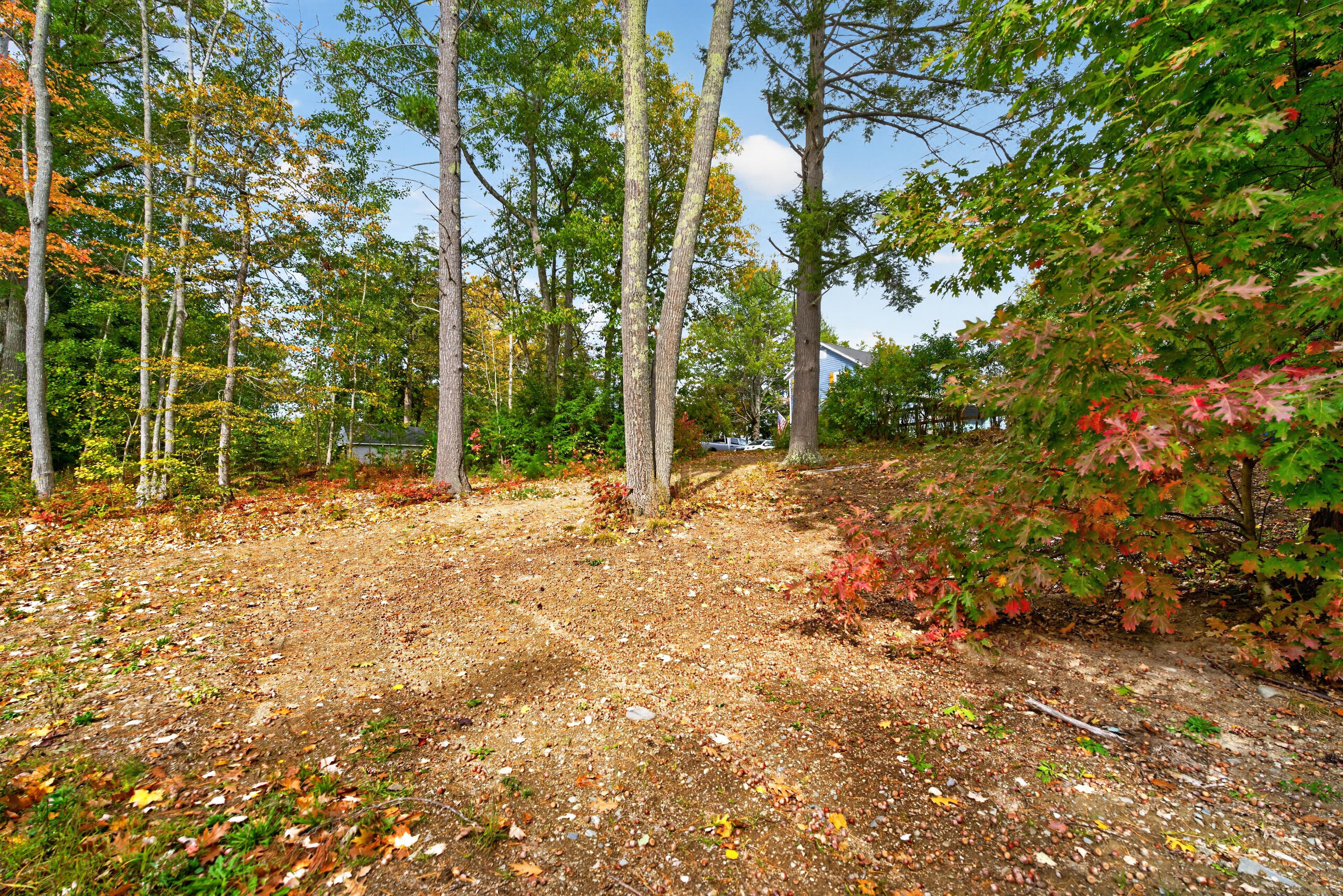 136 Fowlers Landing Road Property Photo 16