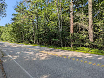 304 Beech Ridge Road Property Photo 8