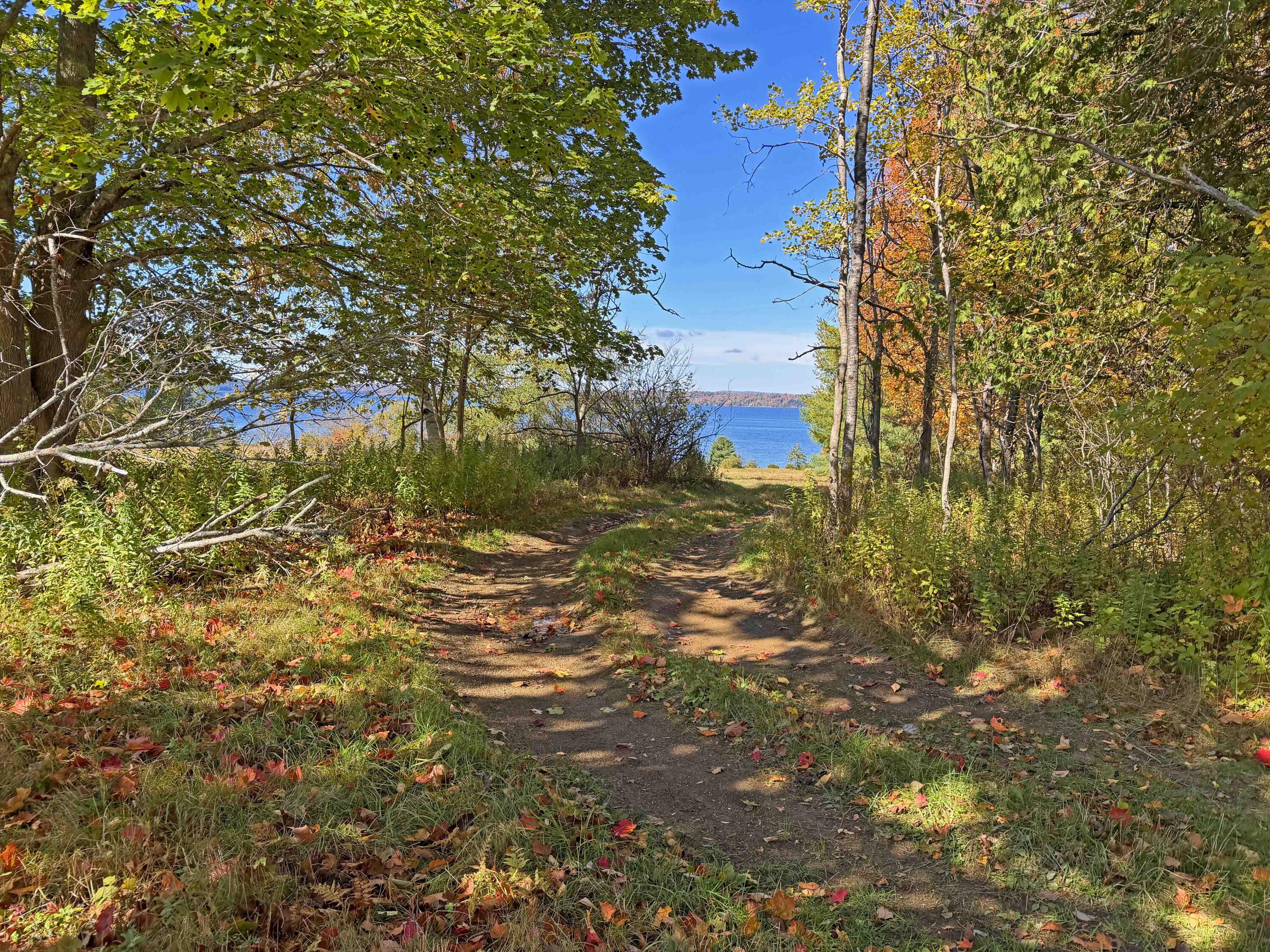 M12 L2-a The Shore Road Property Photo 13