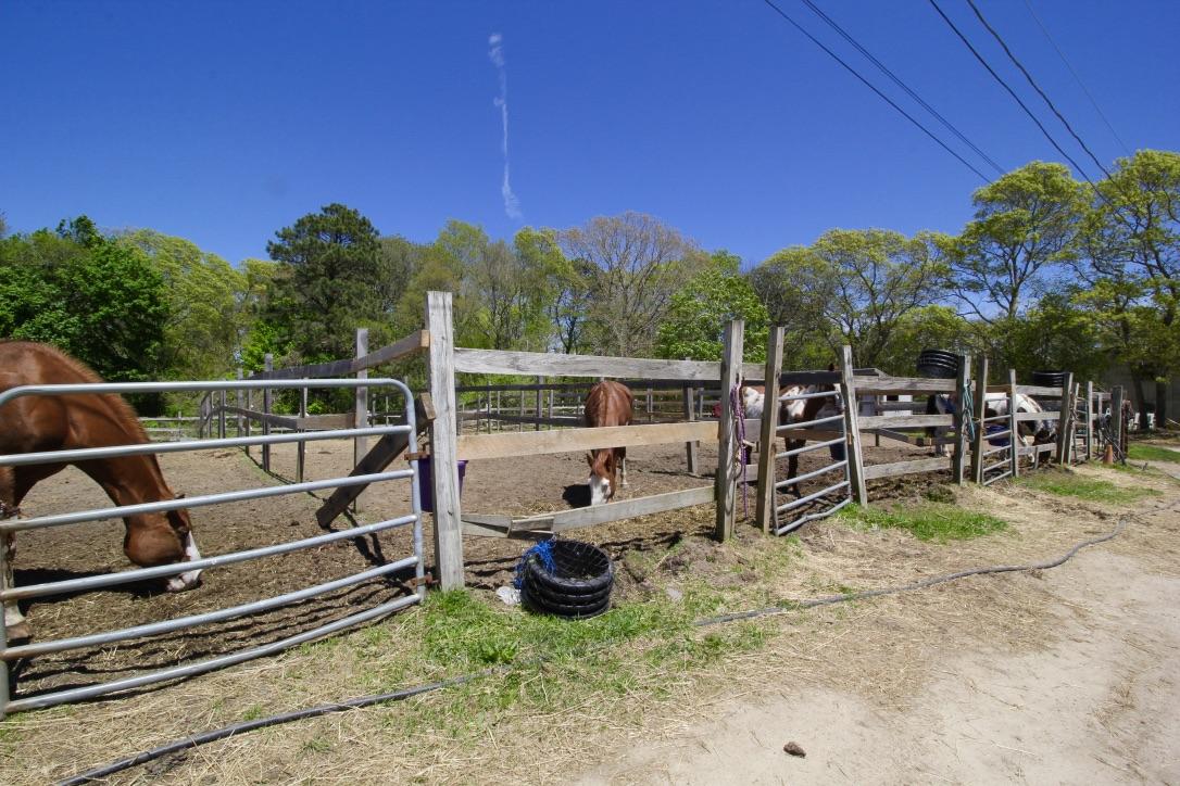 809 Sandwich Road Property Photo 18
