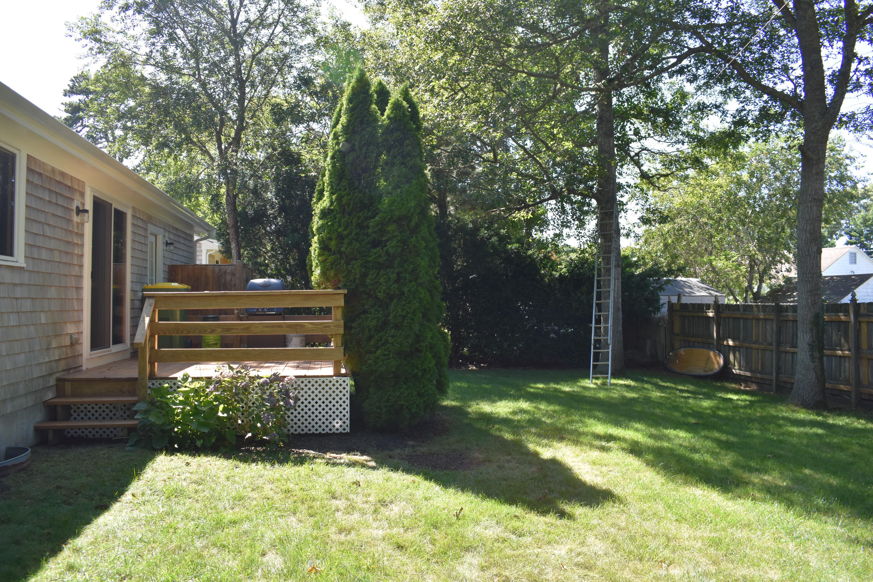 6 Hawthorn Street Property Photo 2