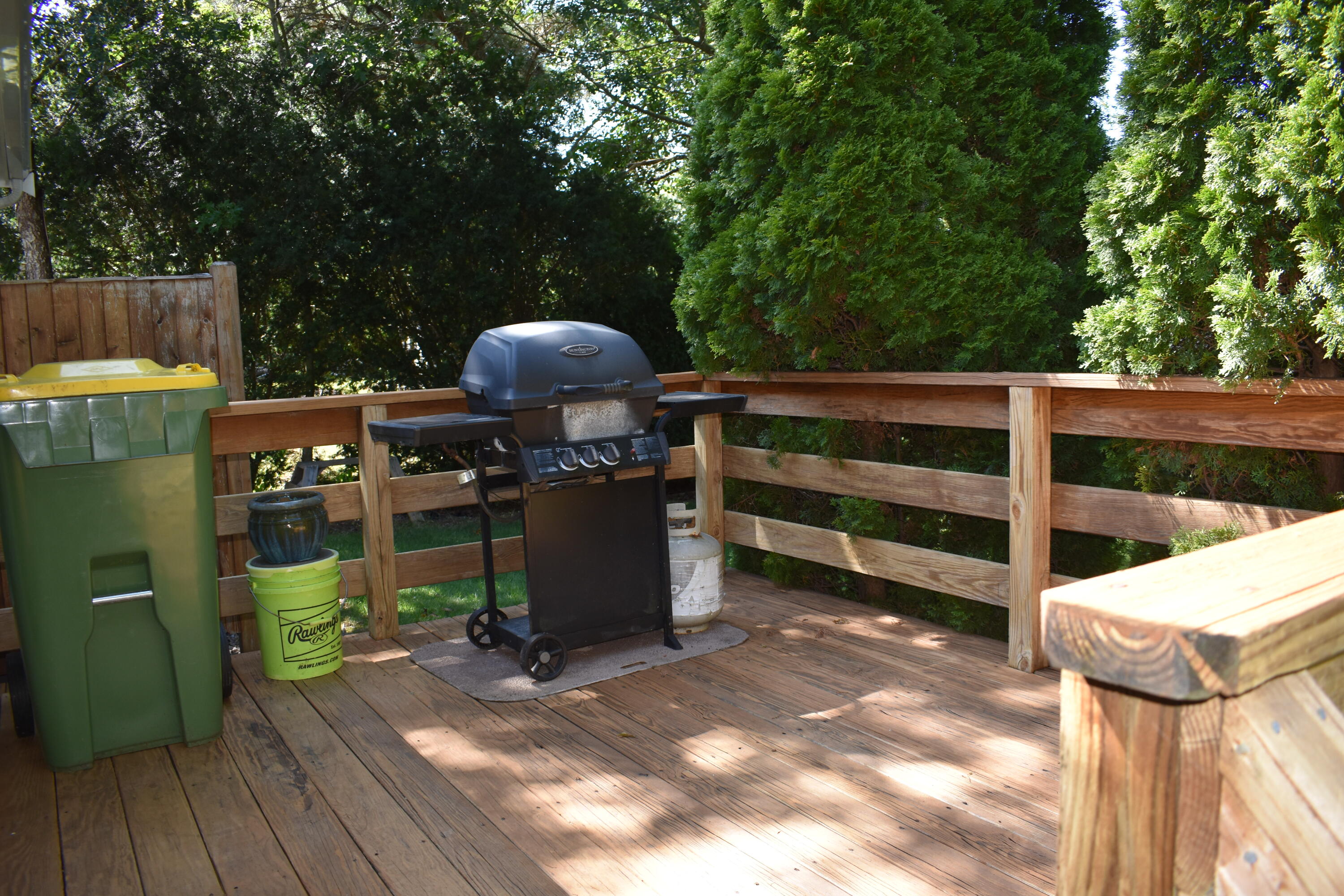 6 Hawthorn Street Property Photo 3