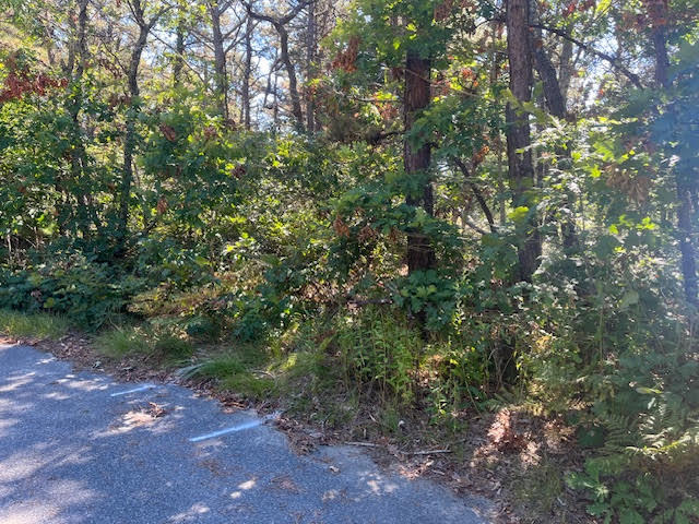 10 Shadbush Circle Property Photo 8