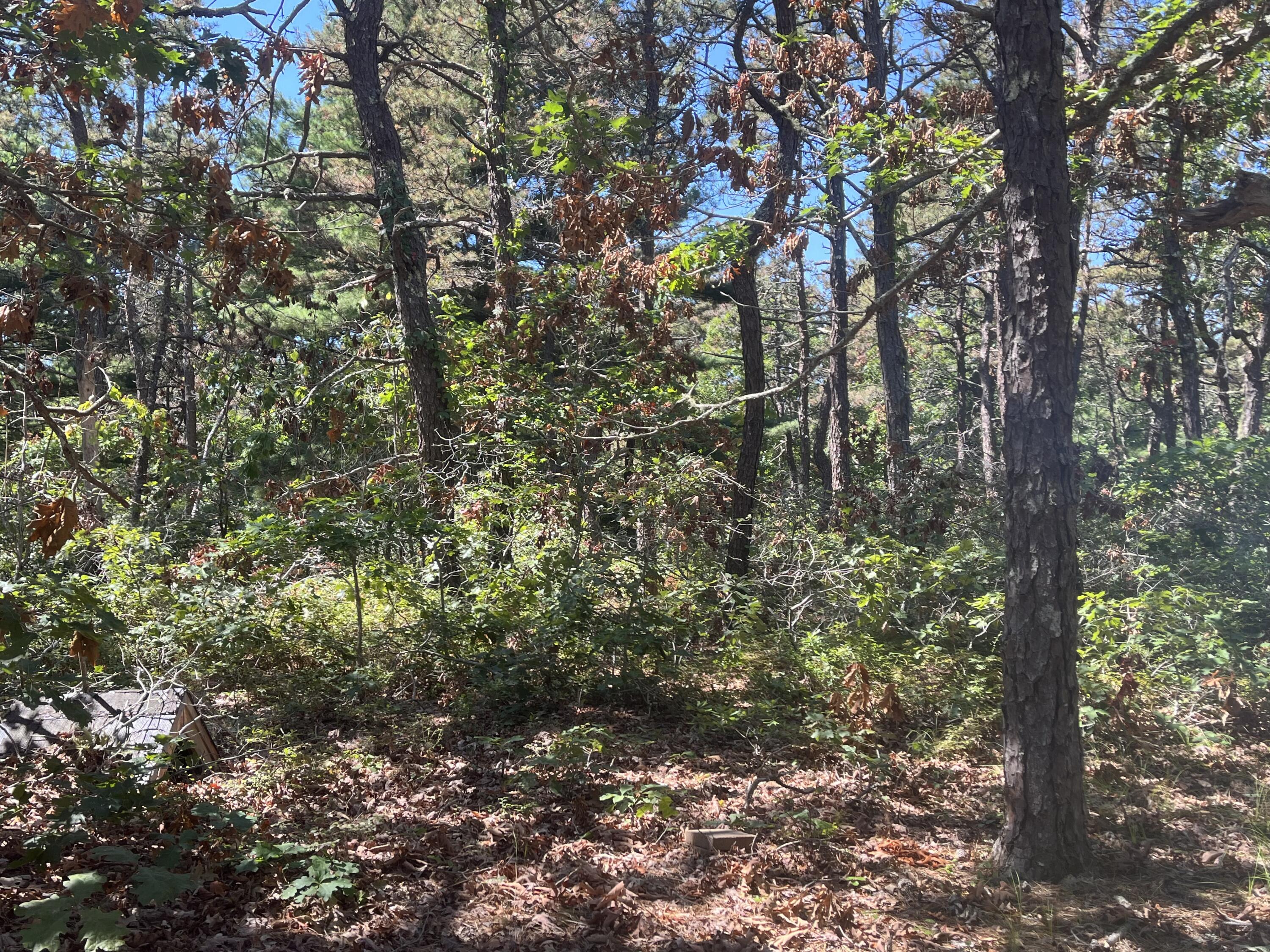 10 Shadbush Circle Property Photo 10