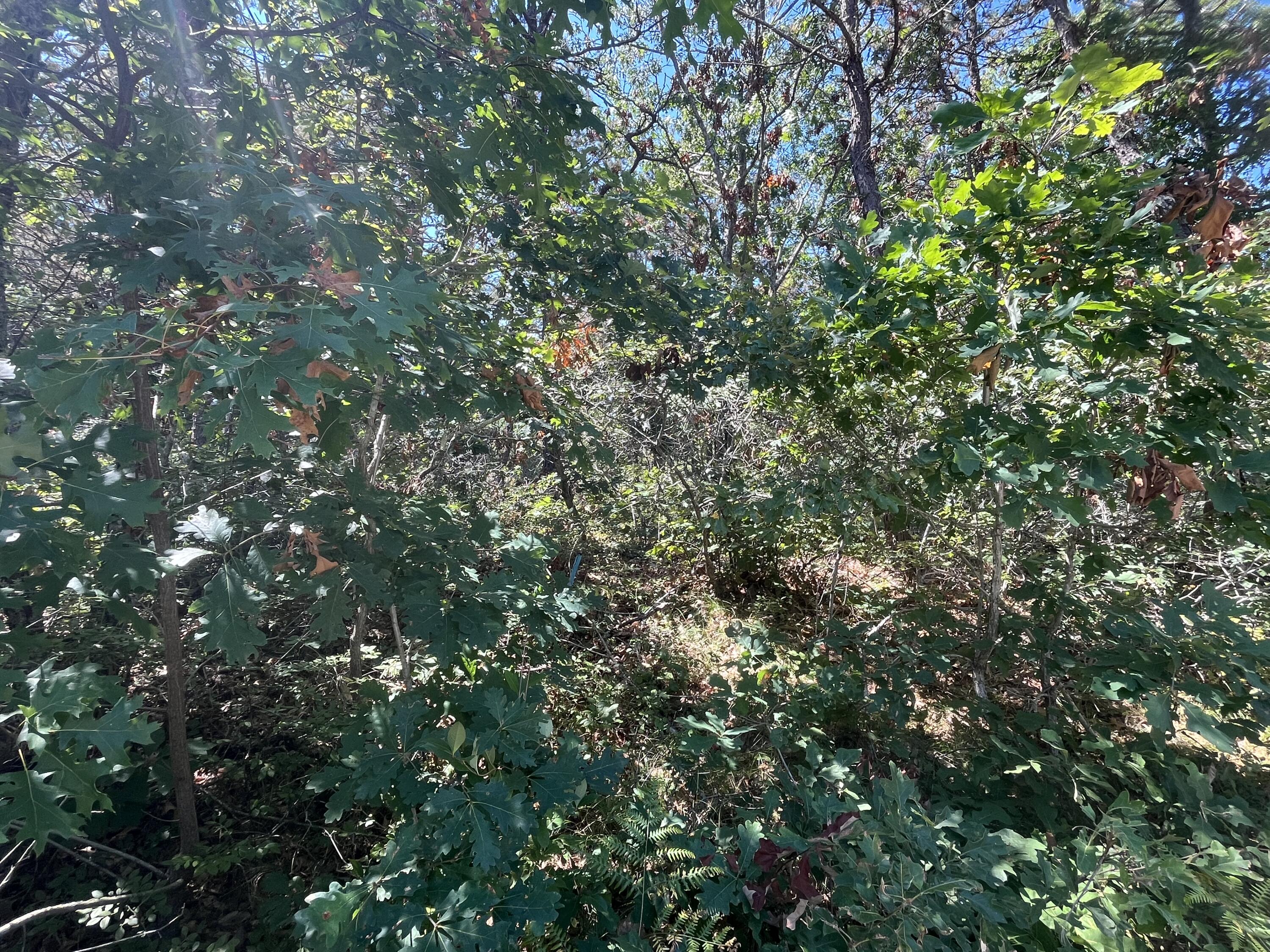10 Shadbush Circle Property Photo 11