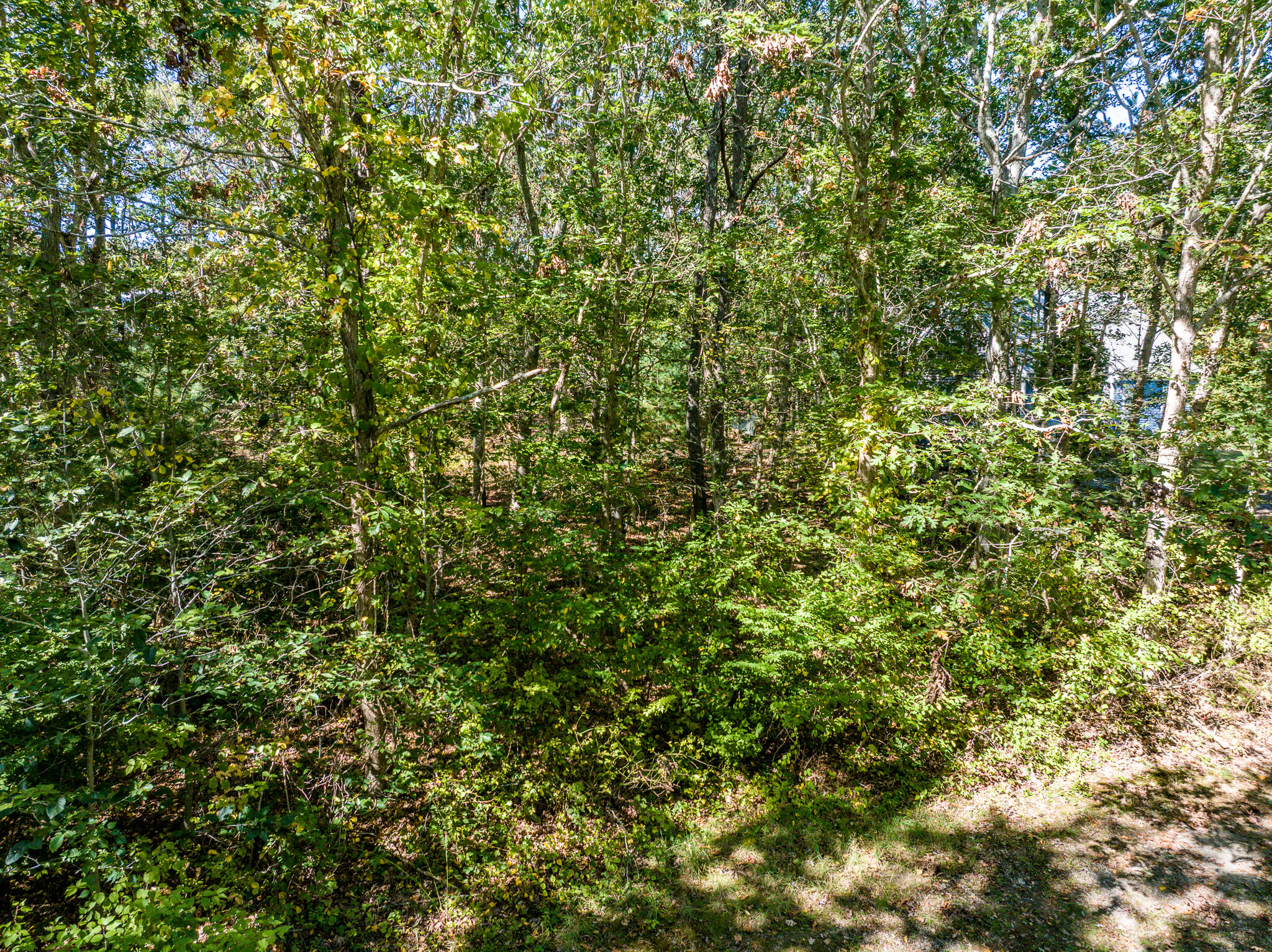 4 Faith Lane Property Photo 3