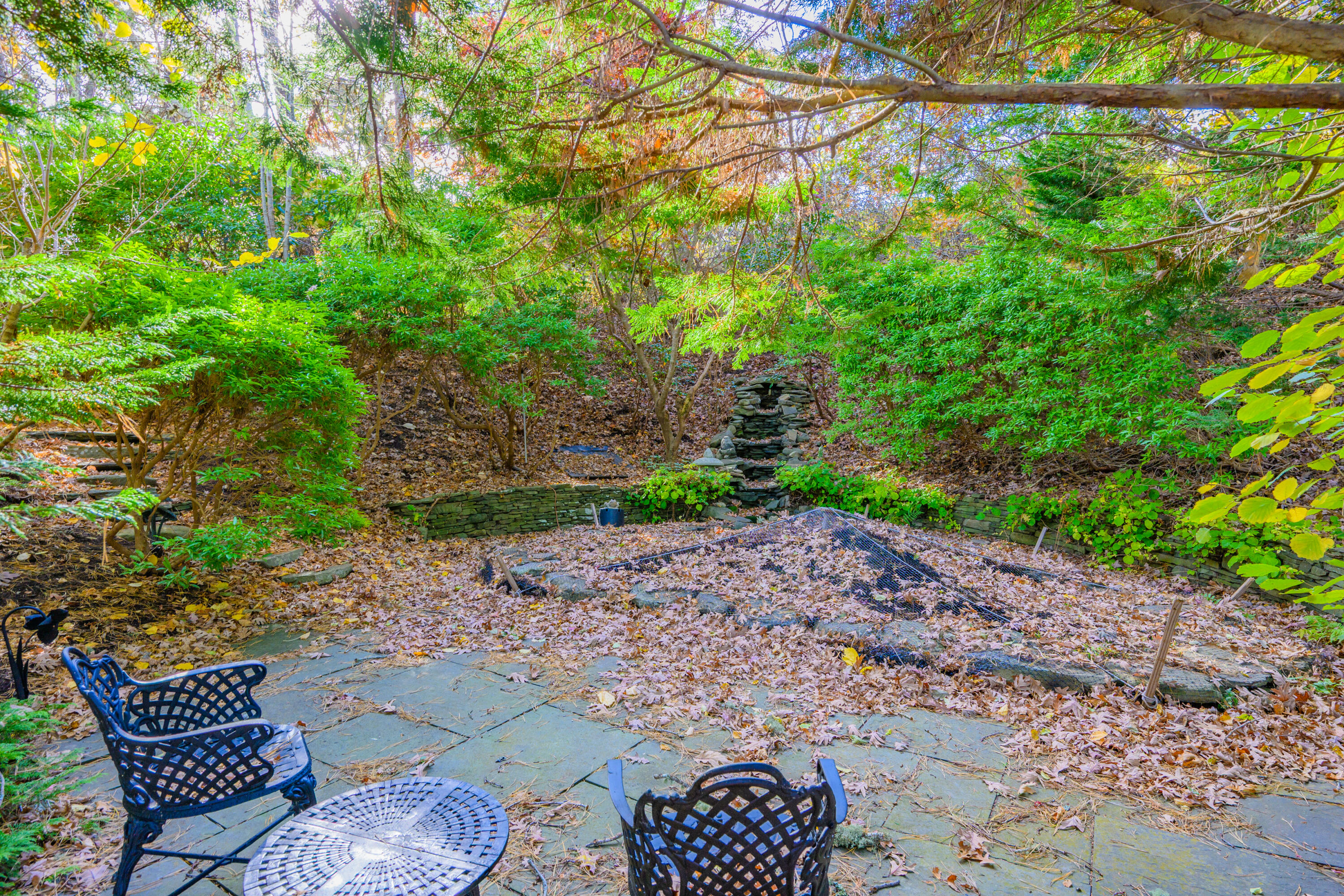 41 Court Street Property Photo 30