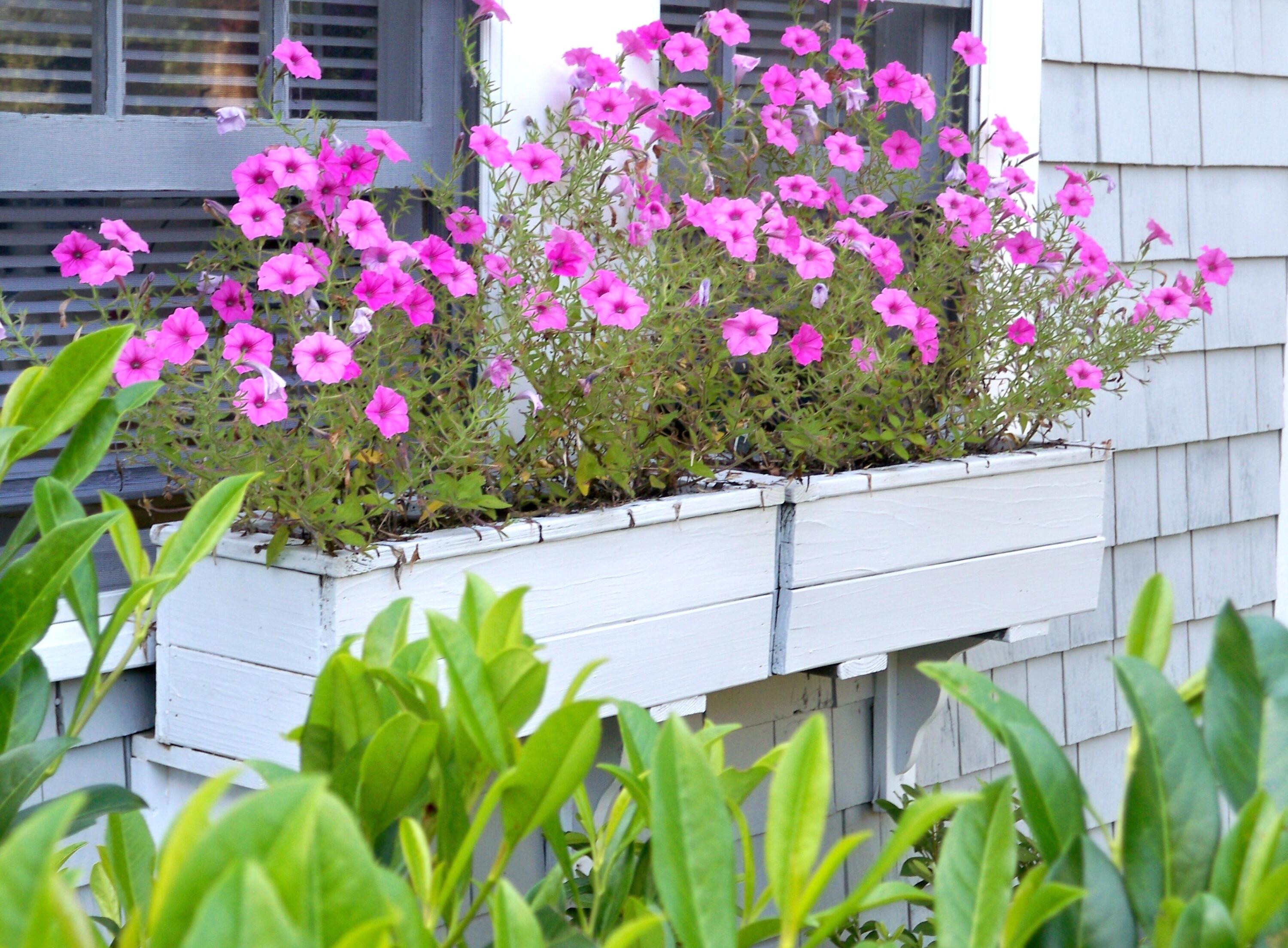 10 Wharf Avenue Property Photo 7
