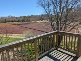 78 Cotuit Road Property Photo 56