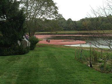 78 Cotuit Road Property Photo 63