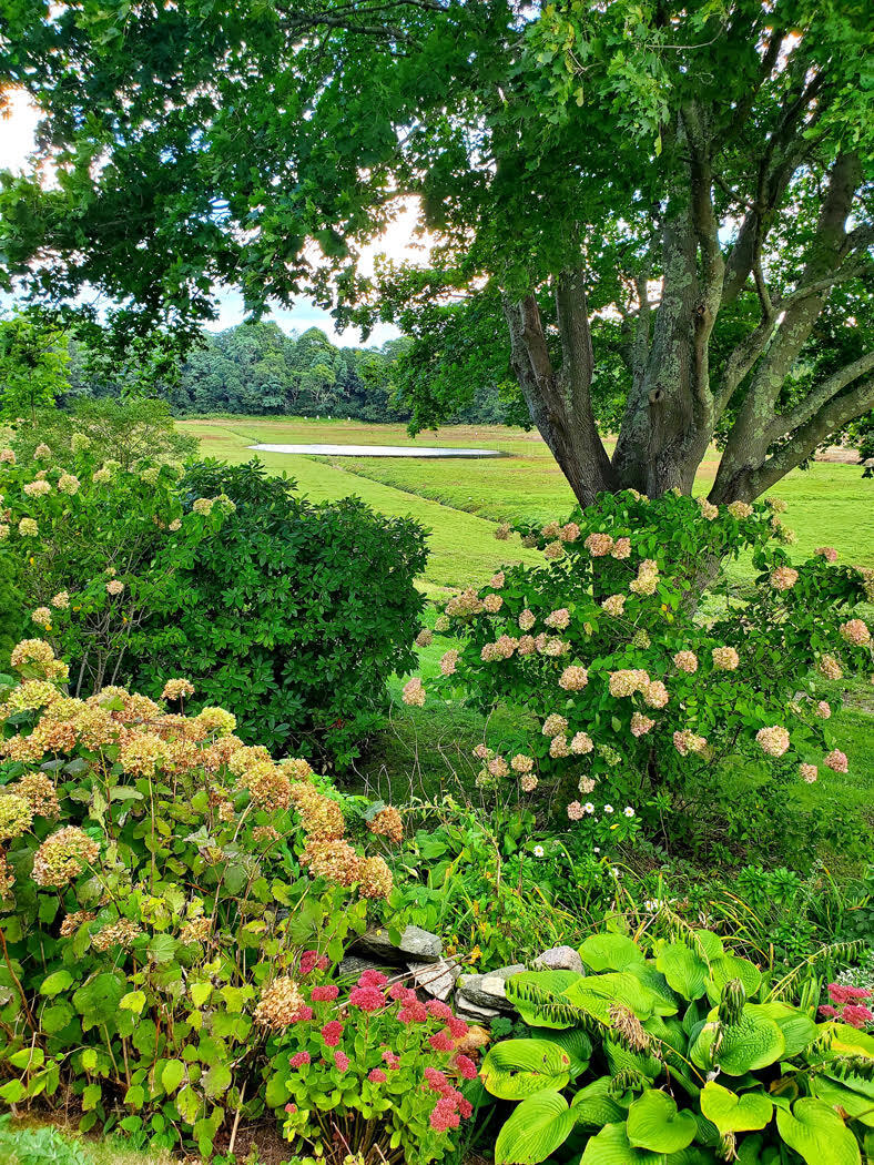 78 Cotuit Road Property Photo 64