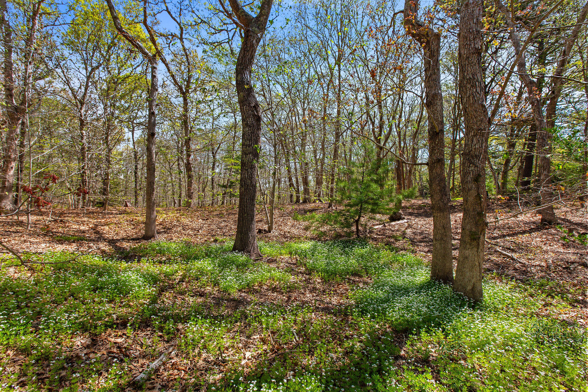 0 Landing Drive Property Photo 1