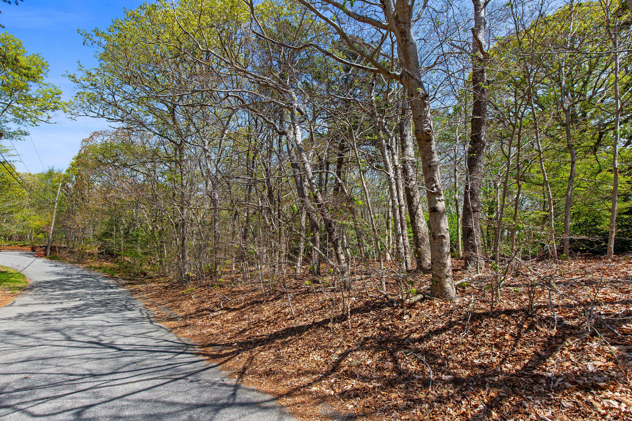 0 Landing Drive Property Photo 2