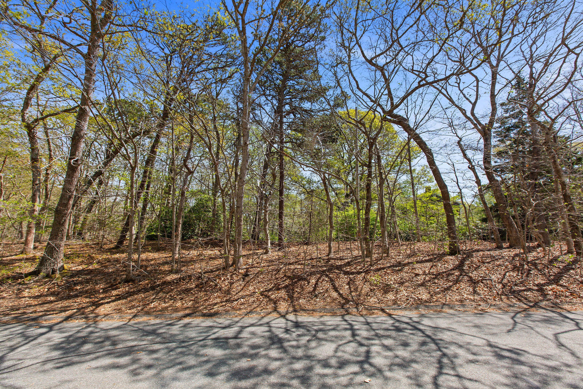 0 Landing Drive Property Photo 3