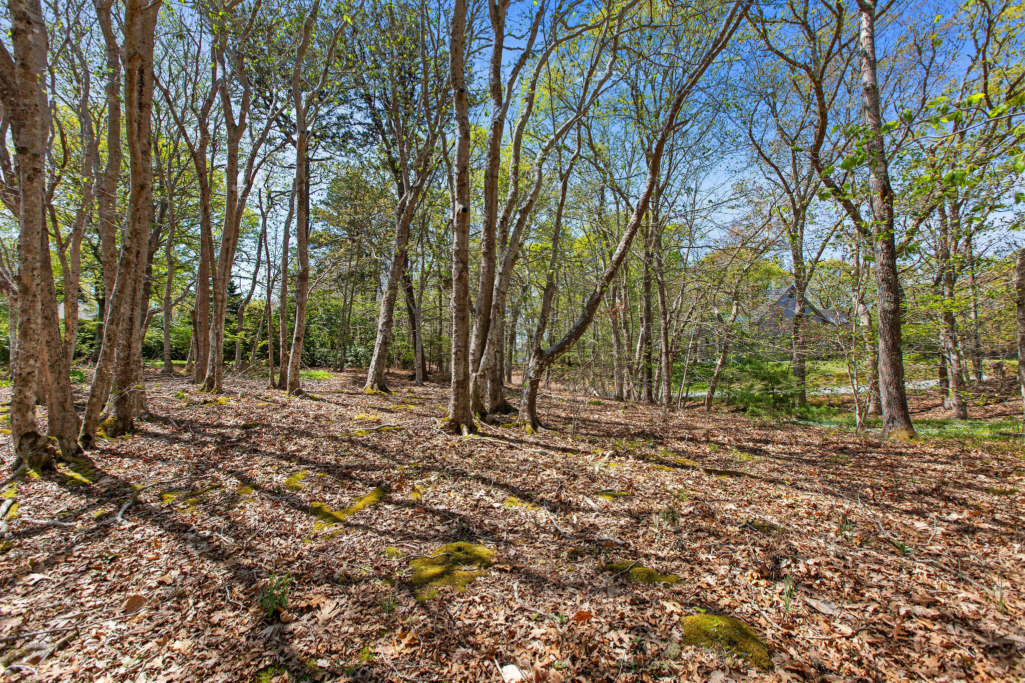 0 Landing Drive Property Photo 5