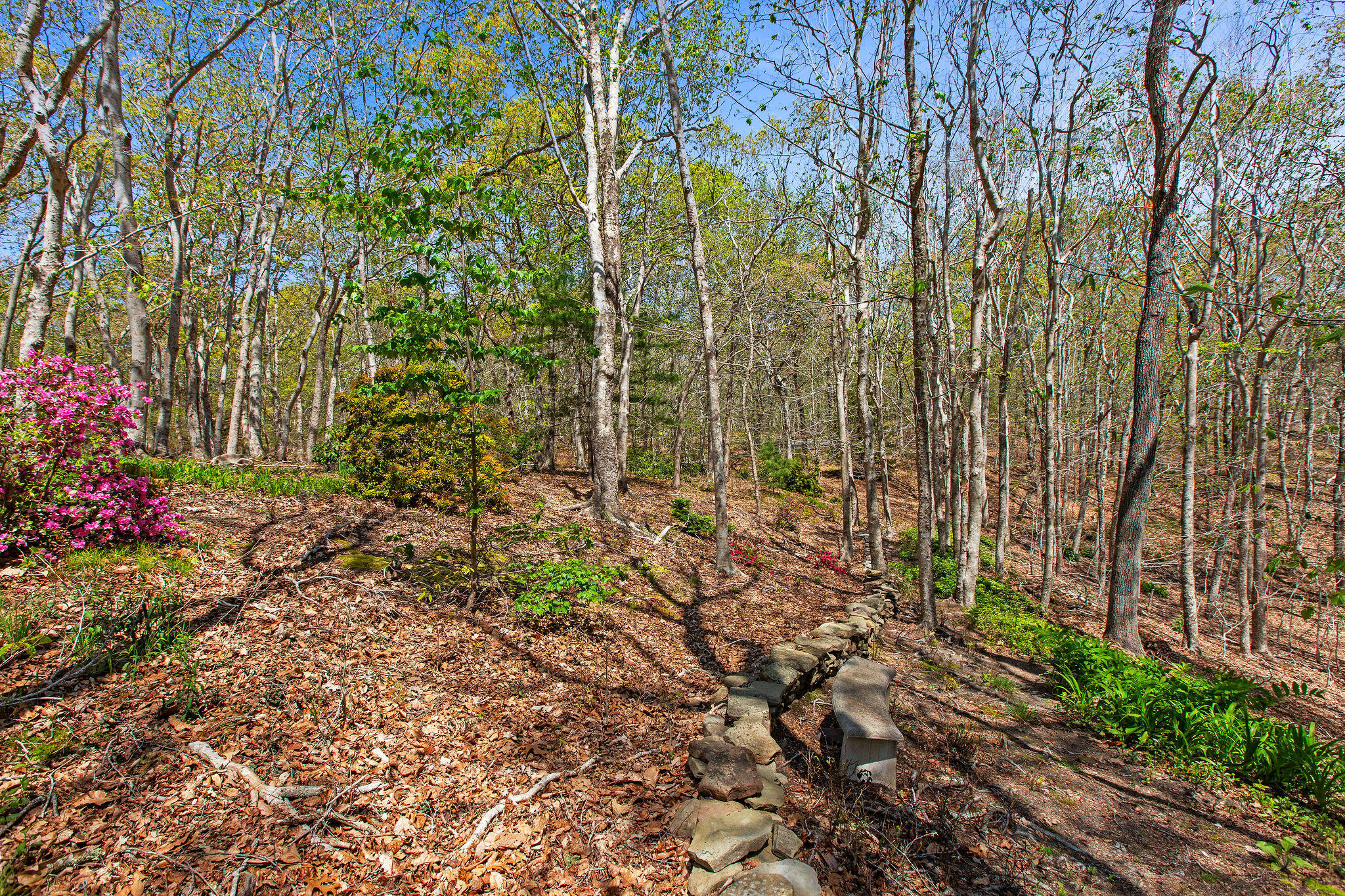 0 Landing Drive Property Photo 6