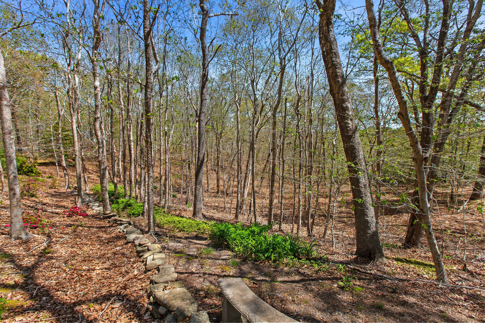 0 Landing Drive Property Photo 7