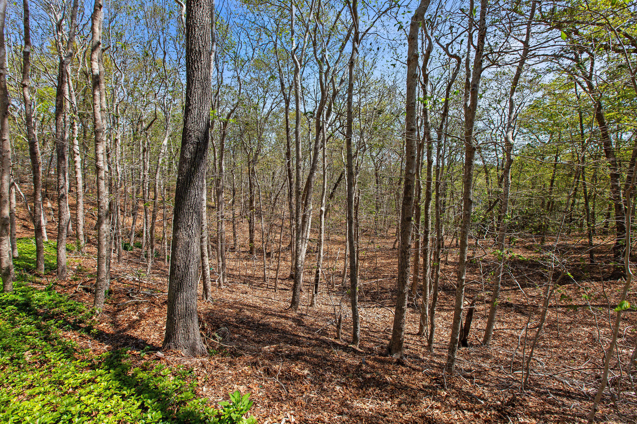 0 Landing Drive Property Photo 8