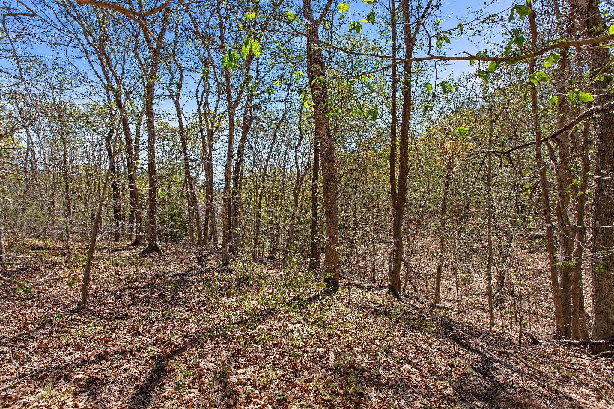 0 Landing Drive Property Photo 9